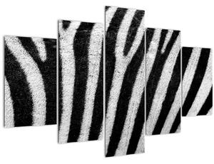 Obraz kože zebry (150x105 cm)