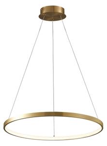 LED Luster na lanku LEA LED/20W/230V 4000K pr. 50 cm zlatá