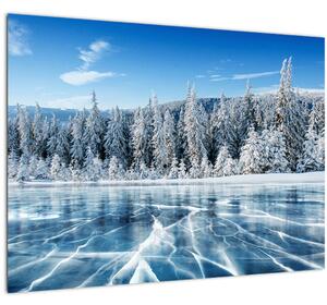 Obraz zamrznutého jazera a zasnežených stromov (70x50 cm)