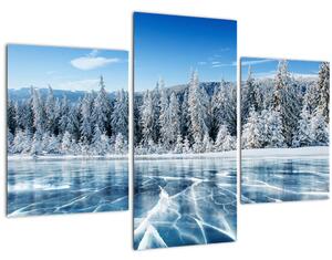 Obraz zamrznutého jazera a zasnežených stromov (90x60 cm)
