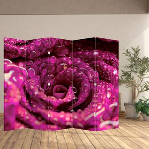 Paraván - Ružový kvet ruže (210x170 cm)