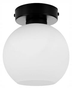 Stropné svietidlo ELIZA, 1x biele sklenené tienidlo (výber z 2 farieb konštrukcie)