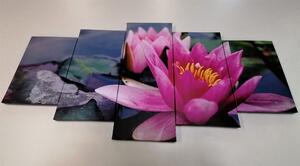 5-dielny obraz ružový lotosový kvet