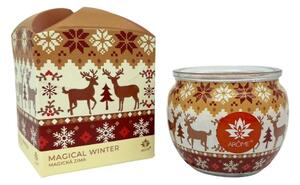 Arome Sviečka v skle a flower boxe, Magical Winter, 90 g