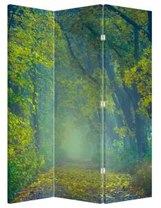 Paraván - Cesta lemovaná stromami (126x170 cm)