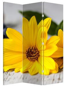 Paraván - Žltá kvetina (126x170 cm)