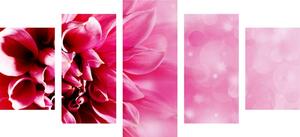 5-dielny obraz ružový kvet