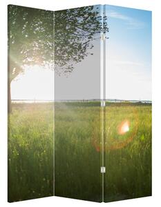 Paraván - Letná lúka (126x170 cm)