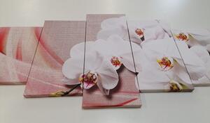 5-dielny obraz biela orchidea na plátne