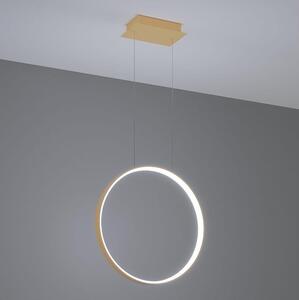 Thoro TH.221 - LED Luster na lanku RIO LED/30W/230V CRI95 4000K pr. 55 cm zlatá