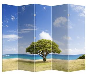 Paraván - Pláž sa stromom (225x180 cm)
