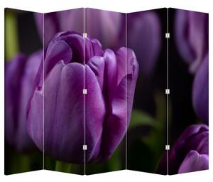 Paraván - Kvet tulipánov (210x170 cm)