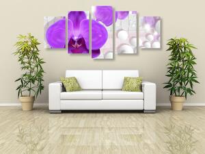 5-dielny obraz orchidea na abstraktnom pozadí