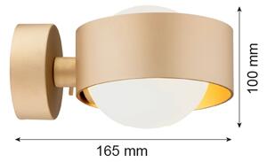 Argon 8567 - Kúpeľňové nástenné svietidlo MASSIMO PLUS 1xG9/6W/230V zlatá