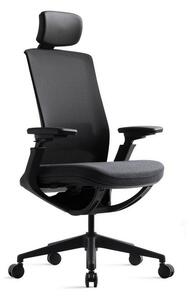 Kancelárska ergonomická stolička ROLY — sieť, látka, čierna / viac farieb Antracit