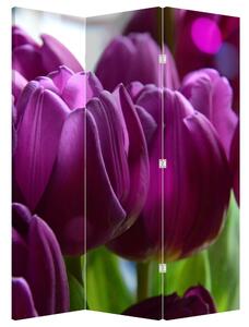 Paraván - Tulipány (126x170 cm)