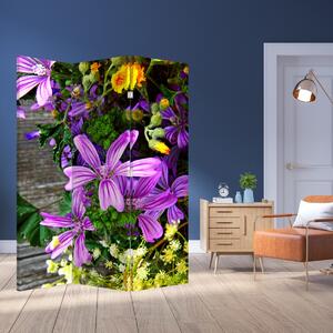 Paraván - Lúčne kvety (126x170 cm)