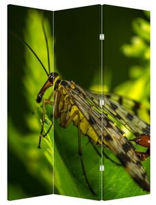 Paraván - Hmyz (126x170 cm)