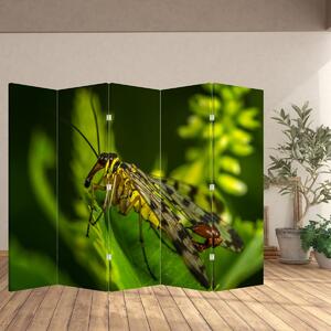 Paraván - Hmyz (210x170 cm)