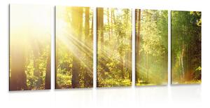 5-dielny obraz slnečné lúče v lese