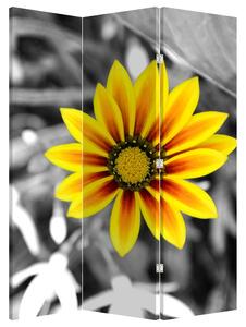 Paraván - Žltá kvetina (126x170 cm)