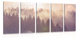 5-dielny obraz hmla nad lesom