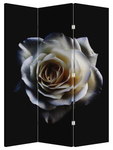 Paraván - Biela ruža (126x170 cm)