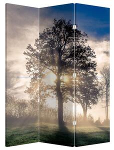 Paraván - Strom v hmle (126x170 cm)