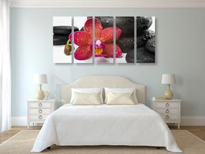 5-dielny obraz orchidea a Zen kamene na bielom pozadí