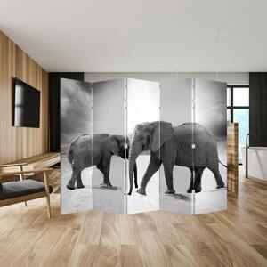 Paraván - Čiernobiele slony (210x170 cm)