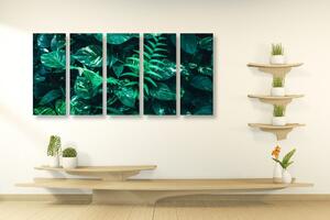 5-dielny obraz svieže tropické listy