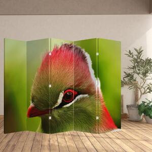 Paraván - Farebný vták (210x170 cm)
