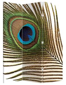 Paraván - Pávie perie (126x170 cm)