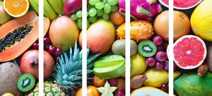 5-dielny obraz tropické ovocie