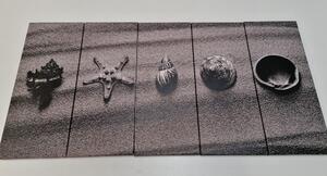 5-dielny obraz mušle na piesočnatej pláži v čiernobielom prevedení