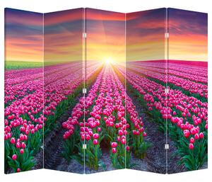 Paraván - Pole tulipánov so slnkom (210x170 cm)
