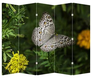 Paraván - Biely motýľ (210x170 cm)