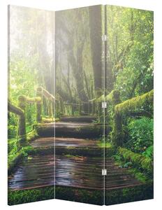Paraván - Drevené schody v lese (126x170 cm)
