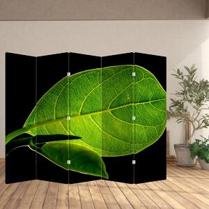 Paraván - Zelený list (210x170 cm)