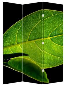 Paraván - Zelený list (126x170 cm)
