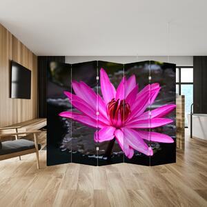 Paraván - Ružový kvet (210x170 cm)