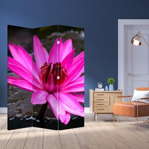 Paraván - Ružový kvet (126x170 cm)