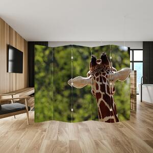 Paraván - Žirafa zozadu (210x170 cm)