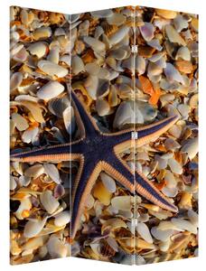 Paraván - Morská hviezdica (126x170 cm)