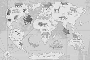 Obraz na korku čiernobiela mapa sveta so zvieratami