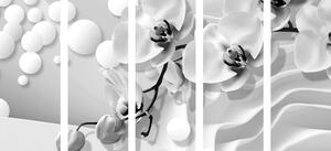 5-dielny obraz čiernobiela orchidea na abstraktnom pozadí
