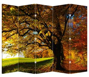 Paraván - Jesenný strom (210x170 cm)