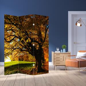 Paraván - Jesenný strom (126x170 cm)