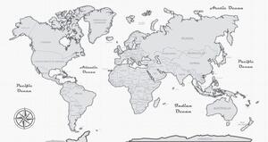 Obraz nádherná čiernobiela mapa sveta
