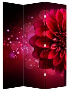 Paraván - Červená kvetina (126x170 cm)